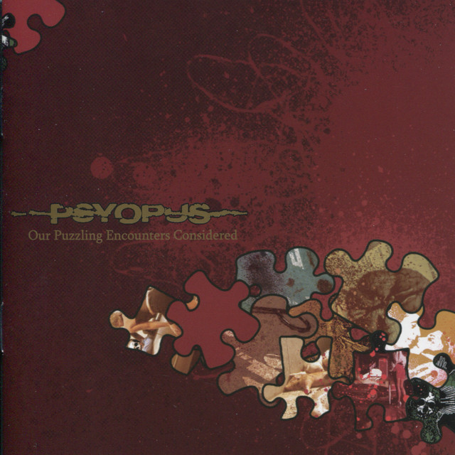Our Puzzling Encounters Considered cover