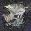 Death Grips cover