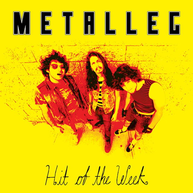 Metalleg Photo