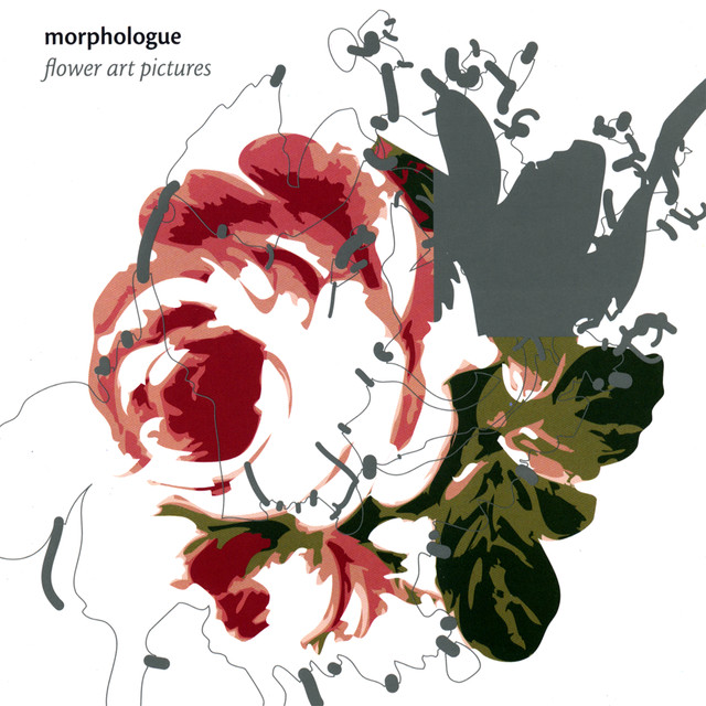 Morphologue Photo
