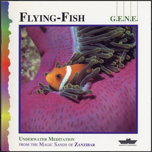 Flying Fish cover
