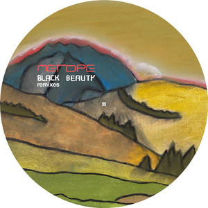 Black Beauty cover