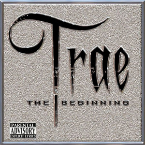 The Beginning cover