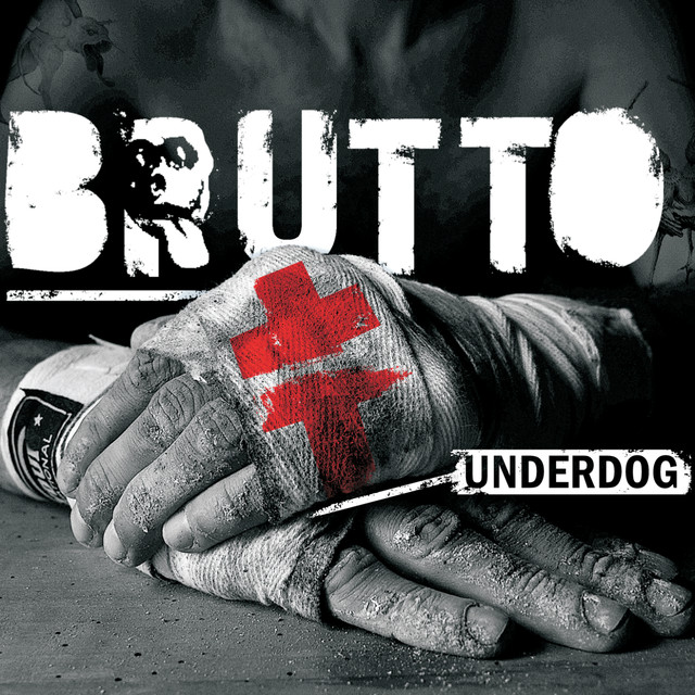 Underdog cover