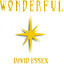 Wonderful cover