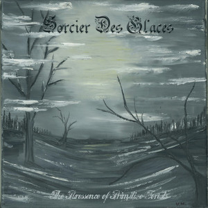 The Puressence of Primitive Forests cover