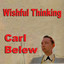 Wishful Thinking cover