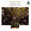 Natural Sound: Waldesrauschen / Whispering Forest Albumcover