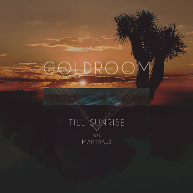 Till Sunrise (feat. Mammals) cover