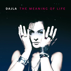 The Meaning of Life cover
