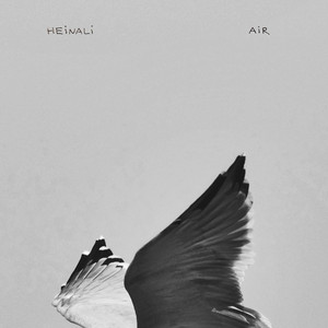 Air cover