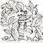Seeds And Orphans cover