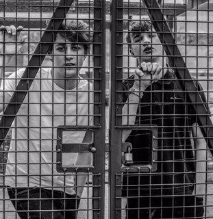 The Vitrines Photo