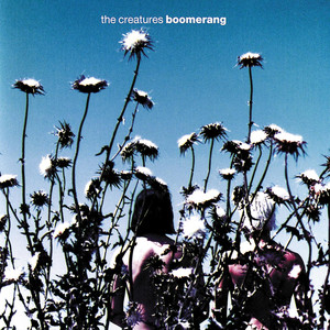 Boomerang album