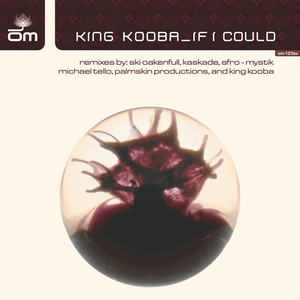 If I Could album