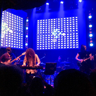 Cheap Dinosaurs Photo