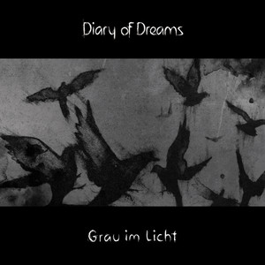 Grau im Licht album