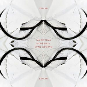 Eviyan - Nayive album