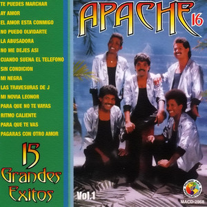 15 Grandes Exitos cover