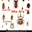 Music For Hi-Fi Bugs (Original Album plus Bonus Tracks 1956) Albumcover