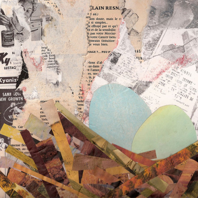 Nests cover