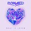 What Is Love (Remixes) cover