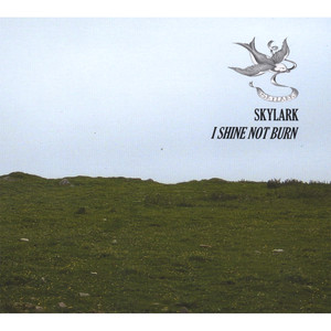 Skylark photo