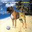 Mr Love Pants Albumcover