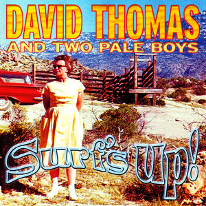 Surf's Up! cover