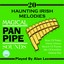 Magical Pan Pipe Sounds: 20 Haunting Irish Melodies Albumcover