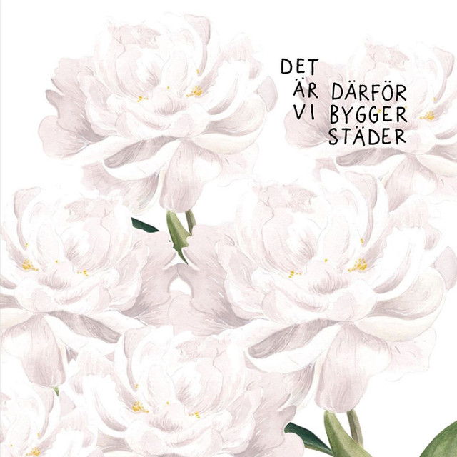 Det är därför vi bygger städer Photo