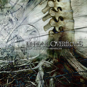 Paths to the Human Involution cover