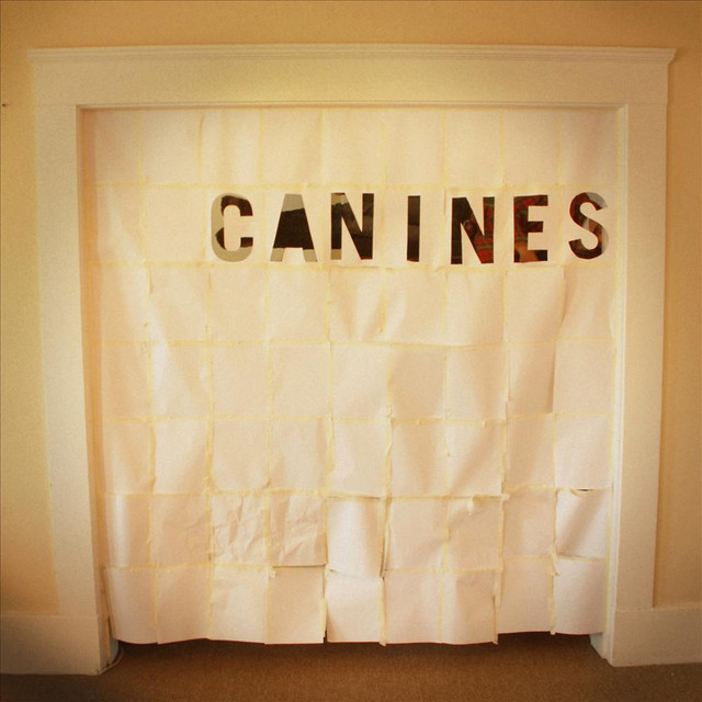 Canines Photo