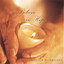 Believe in Hope Albumcover