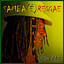 Samba É Reggae cover