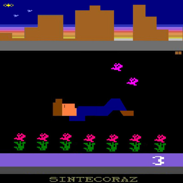Sintecoraz Photo