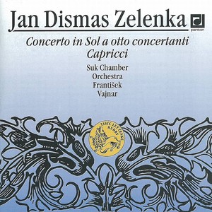 Suk Chamber Orchestra