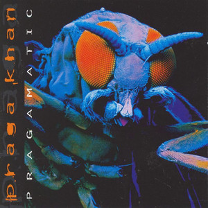 Pragamatic album