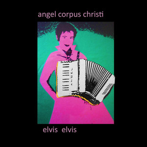 Elvis Elvis cover