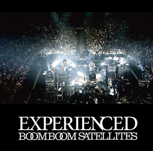 EXPERIENCED cover