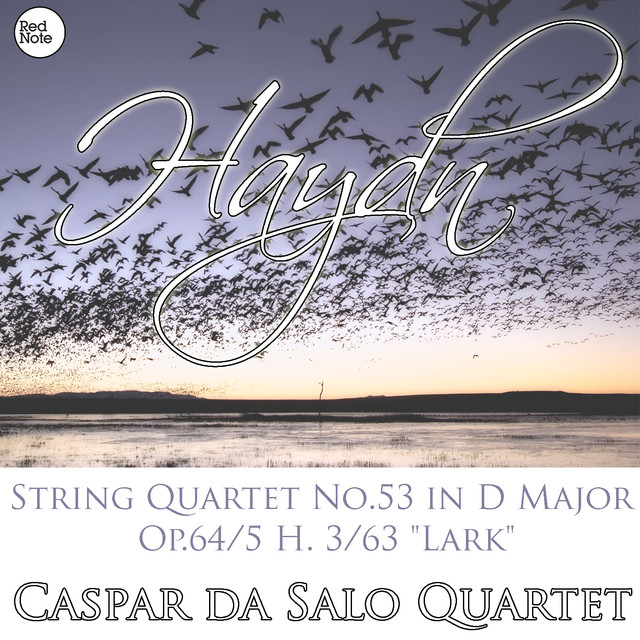 Caspar da Salo Quartet Photo