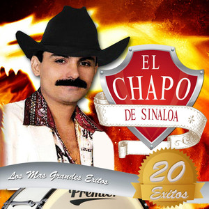 20 Exitos Mis Grandes Exitos album