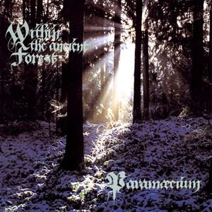 Within the Ancient Forest cover