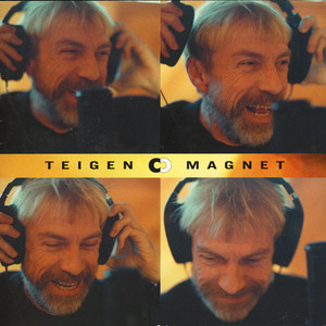 Magnet cover