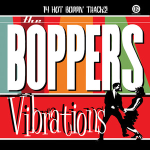 Vibrations cover