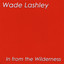 In From The Wilderness Albumcover