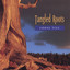 Tangled Roots Albumcover