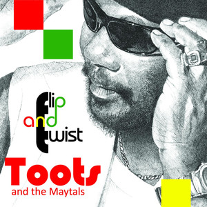 Flip And Twist album