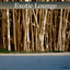 Exotic Lounge cover