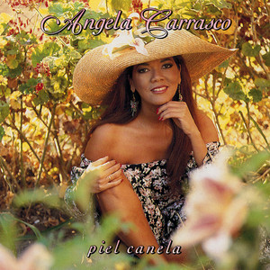 Piel canela cover